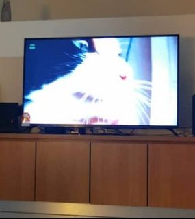 (Category: ) located in . Submitted by ilycathouse (Listing ID 1042986164, Image 1). Description: .
