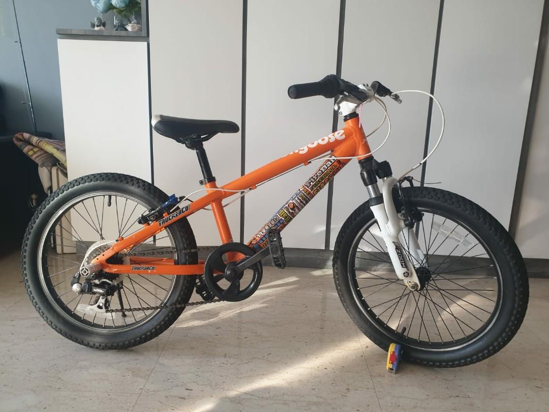 Mongoose fireball 20 2025