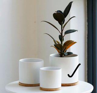 White Planter/Plant Pot with Catch Plate (Large)