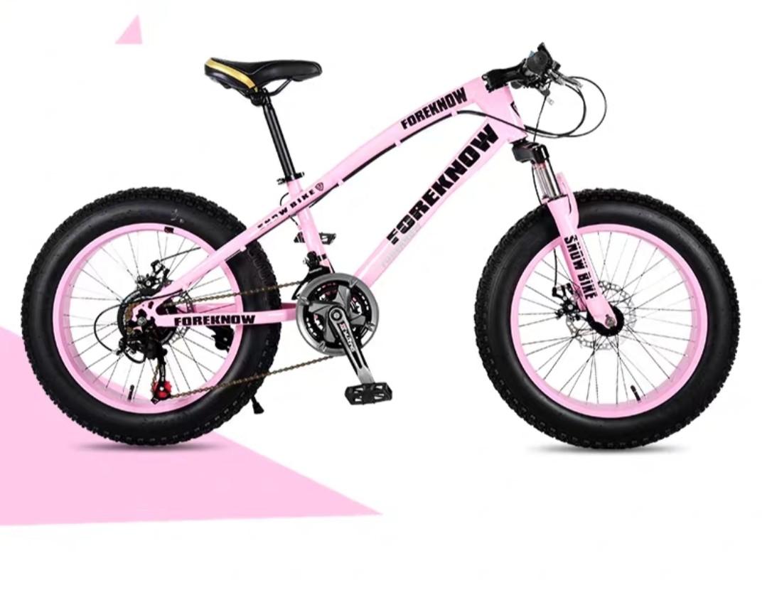 mini fat bike