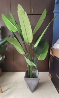 (Category: ) located in . Submitted by nfhxo (Listing ID 1038850105, Image 1). Description: .