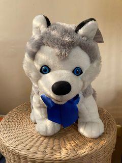 husky stuffed toy blue magic