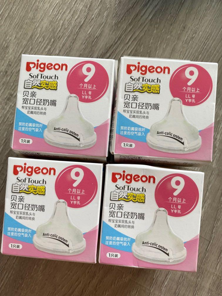 pigeon 9 month teat