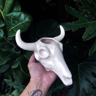 Bull skull planter