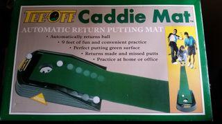 Golf putting mat + 20 golf balls + golf tee