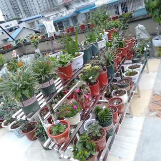 (Category: ) located in . Submitted by onlyqmall (Listing ID 1038983655, Image 1). Description: .