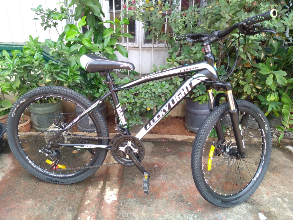 mtb bike 24