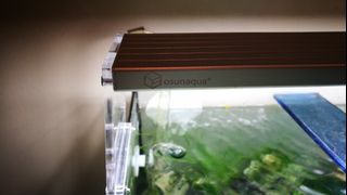 (Category: ) located in . Submitted by imagesbyjson (Listing ID 1038865107, Image 1). Description: .