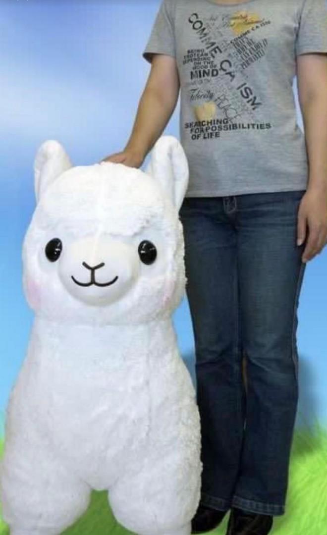 dawko plush amazon