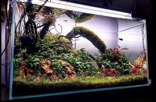 (Category: ) located in . Submitted by eli99 (Listing ID 1043258371, Image 1). Description: .