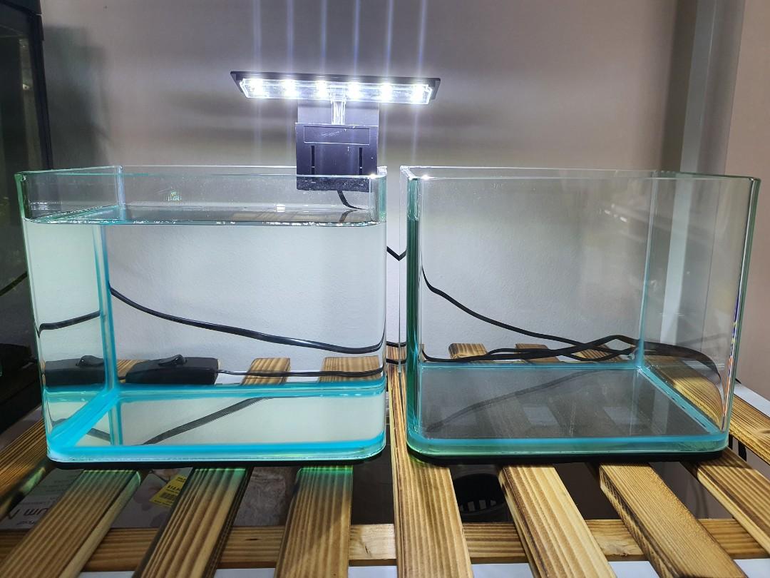 Betta Fish Tank curve glass, Pet Supplies, For Fish, Fish Tanks on