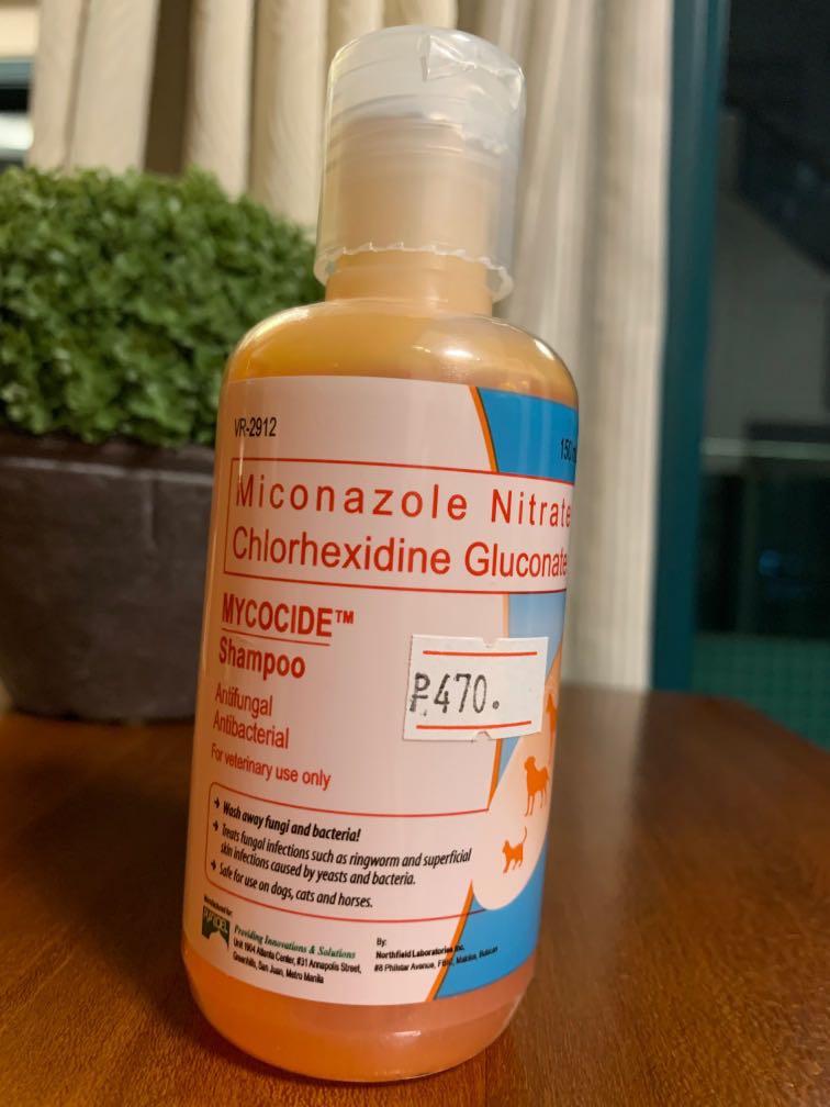 mycocide shampoo for mange