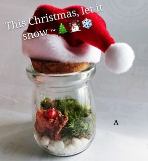 (Category: ) located in . Submitted by ecoworldlover (Listing ID 1043326332, Image 1). Description: .