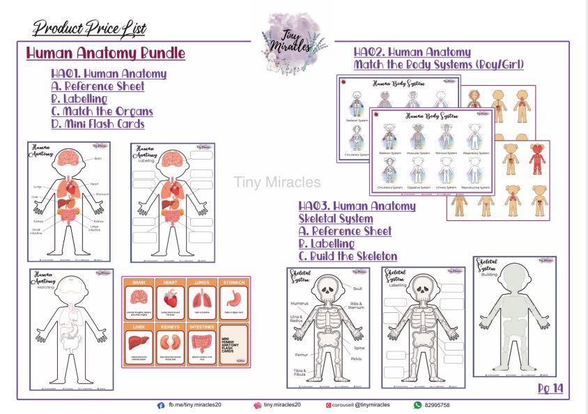 Learning Resources Human Anatomy Body System Binder Hobbies Toys Books Magazines Assessment Books On Carousell