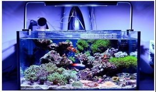 (Category: ) located in . Submitted by eli99 (Listing ID 1043260255, Image 1). Description: .