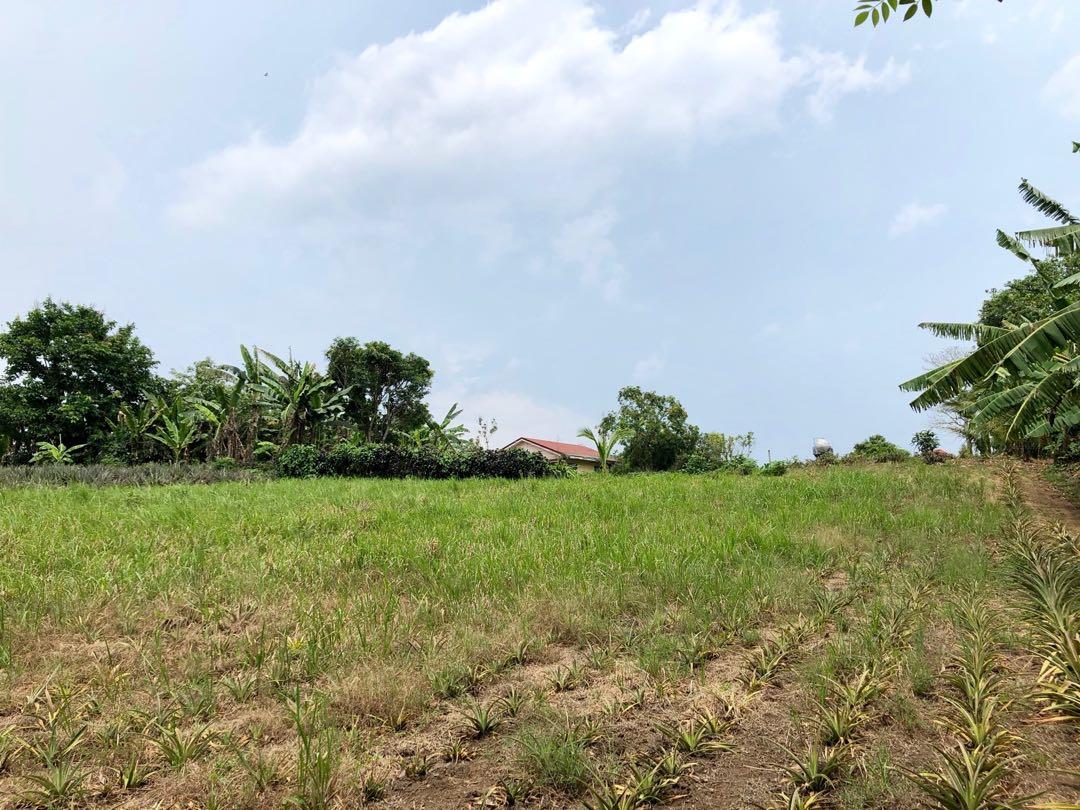 Silang Cavite 2 5 Hectares 5mins From Tagaytay Rotonda Property For Sale Lot On Carousell