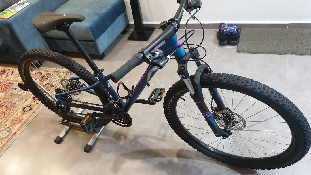 Specialized pitch top womens bike
