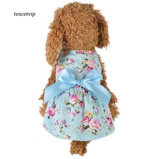 Dog Clothes View All Dog Clothes Ads In Carousell Philippines