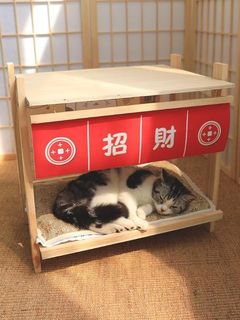 (Category: ) located in . Submitted by playfuland (Listing ID 1043640605, Image 1). Description: .