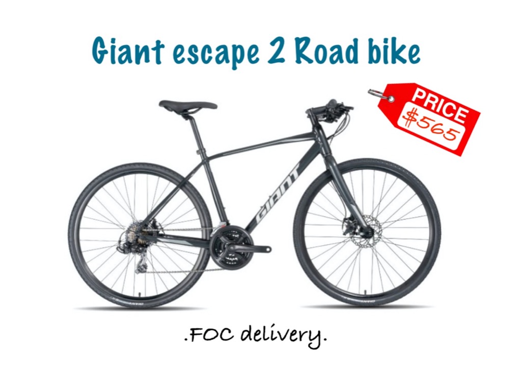 giant bike price