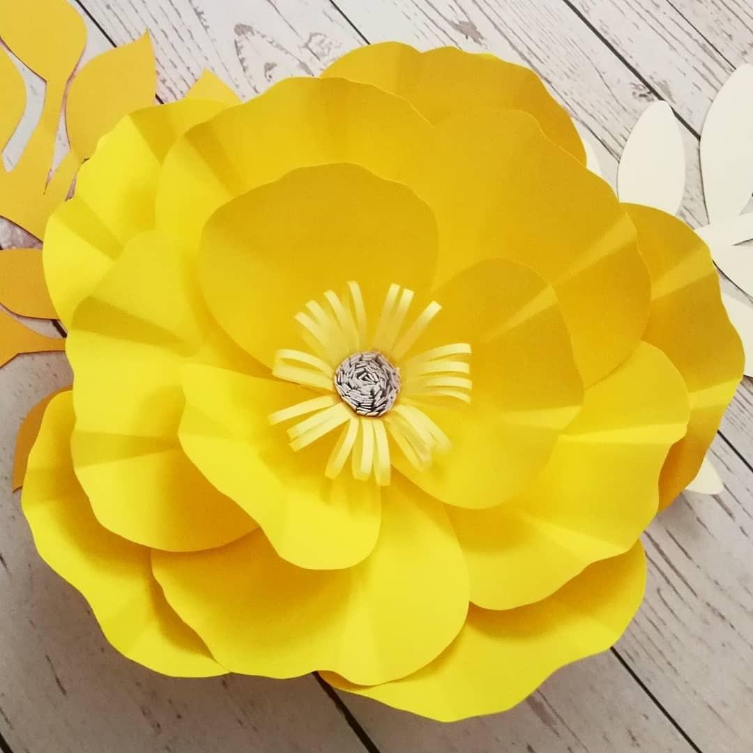 Giant Paper Flower Wall Backdrop Decoration, Hobbies & Toys, Stationery