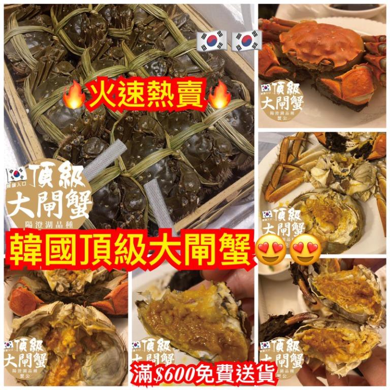 Mangihouse 預購大閘蟹陽澄湖品種 來源信心保証 75起 專車送貨 嘢食 嘢飲 本地食物 Carousell