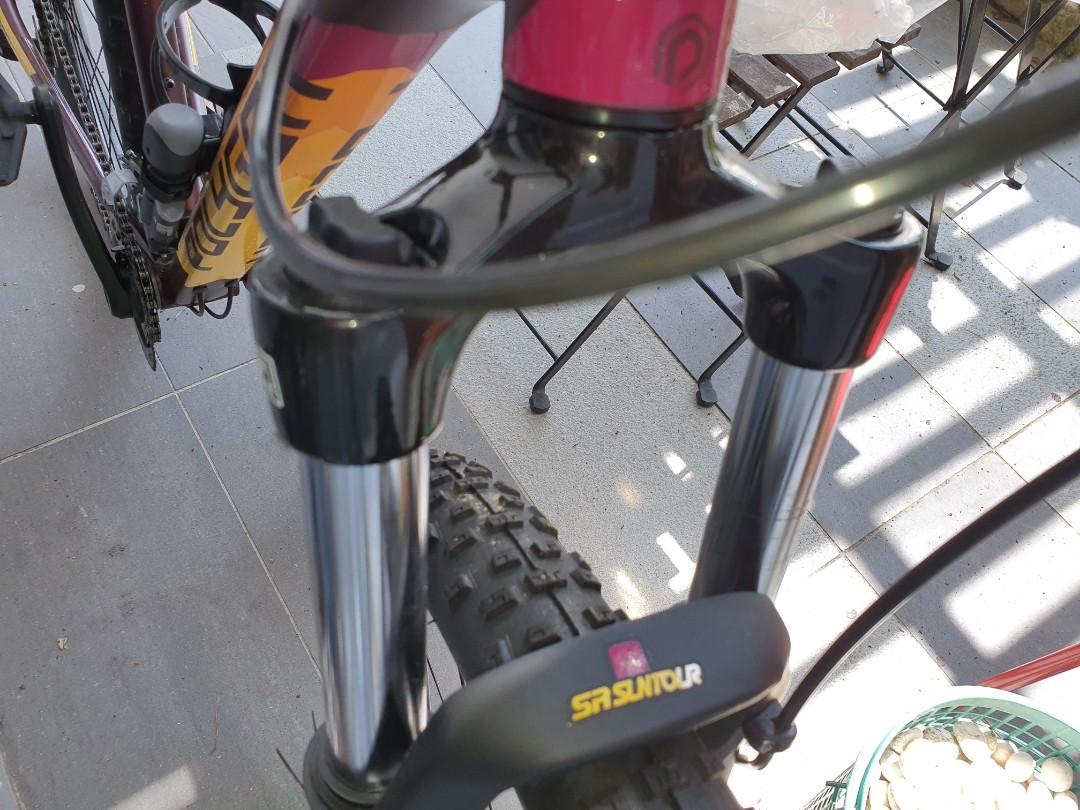 polygon emtb