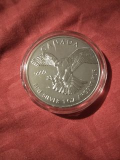 (Category: ) located in . Submitted by jonathantkd (Listing ID 1043751971, Image 1). Description: .