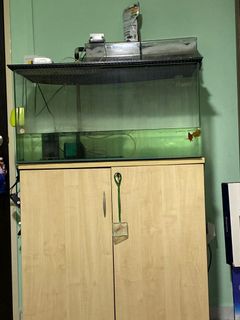 (Category: ) located in . Submitted by chucky.mahen (Listing ID 1043903759, Image 1). Description: .