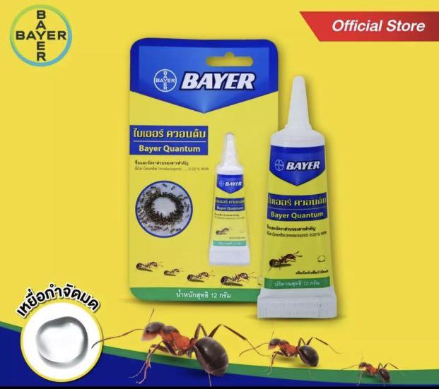 Bayer Quantum 滅蟻餌凝膠 泰國版 傢俬 家居 其他 Carousell Bayer Quantum 滅蟻餌凝膠 泰國版 傢俬 家居 其他 Carousell