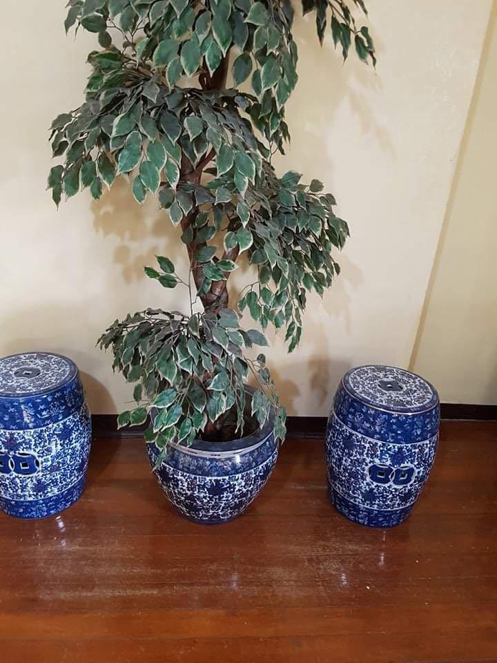 Blue Oriental Plant Pot Jar, Furniture & Home Living, Home Improvement