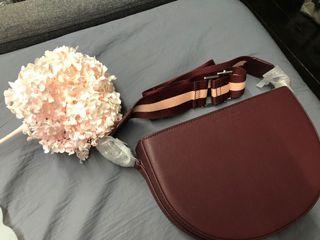 Charles & Keith Hard Cover Zipless Sling Bag