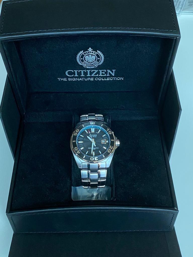 citizen eco drive wr 300