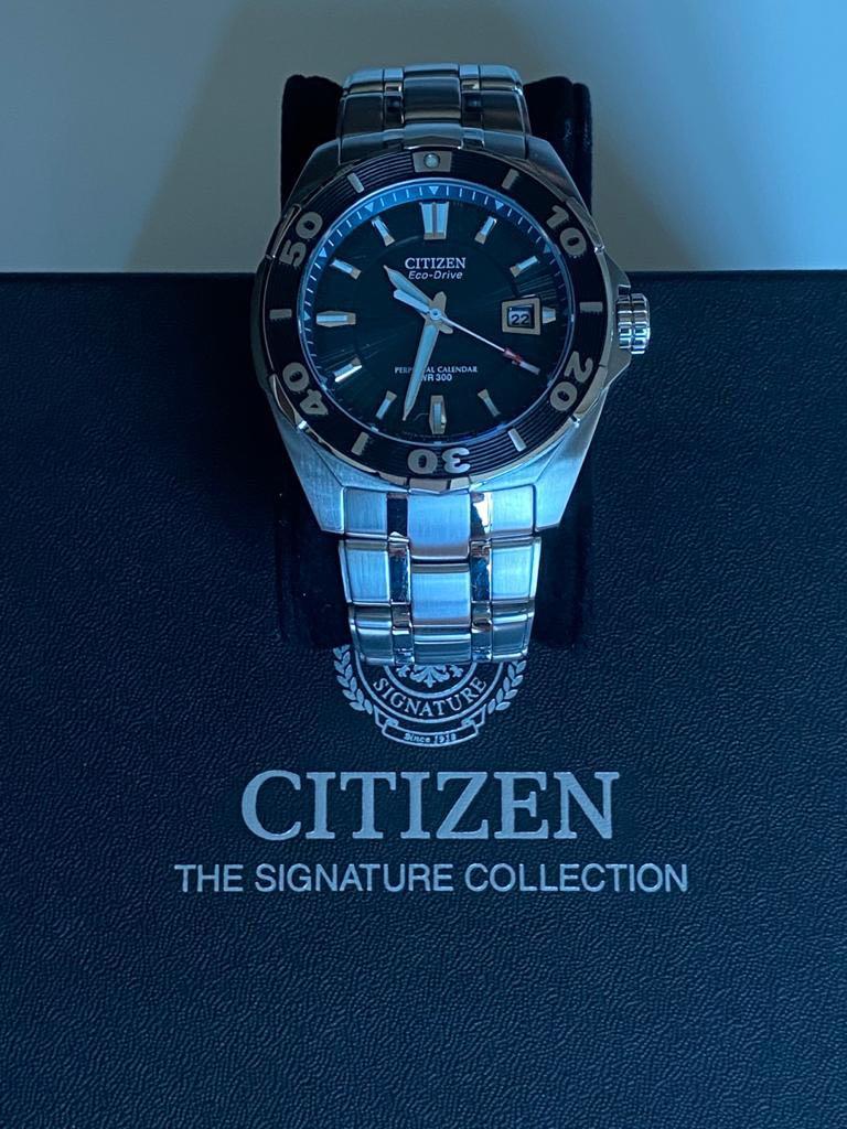 citizen wr300