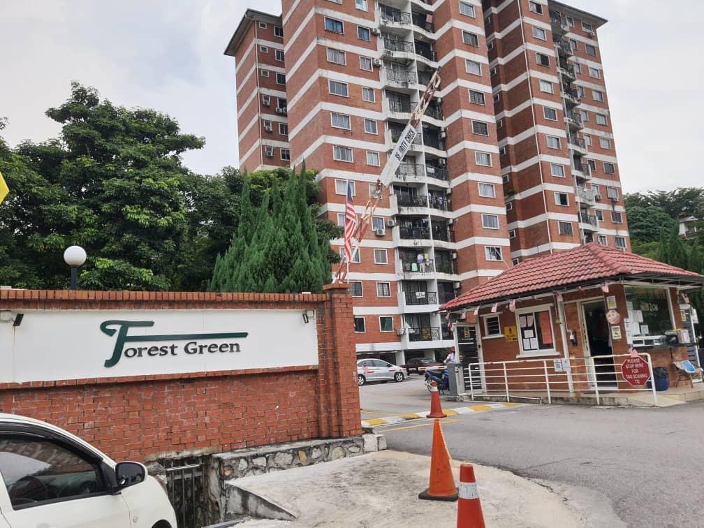 Forest Green Condo Bandar Sungai Long, Property, Rentals on Carousell