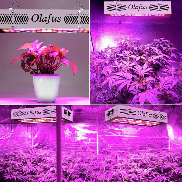 Olafus 300w hotsell led grow light