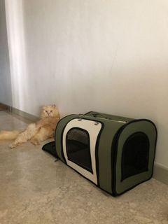 Pet Carrier cat dog