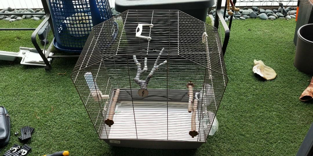 preloved bird cages