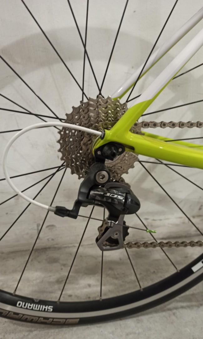 scott contessa solace