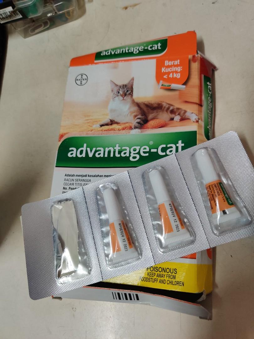 Ubat Kutu Kucing 4kg Advantage Spot On All 3 Pipet Pet Supplies Health Grooming On Carousell