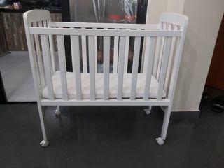baby dan cot