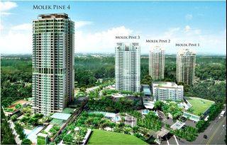 Furnished 3+1room CORNER @Molek Pine 4, Johor Bahru ONLY RM627,000 (Market value RM860,000)
