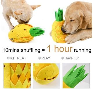(Category: ) located in . Submitted by lj.petshop (Listing ID 1044010086, Image 1). Description: .