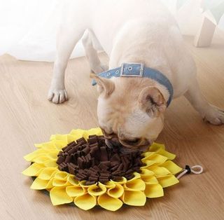 (Category: ) located in . Submitted by lj.petshop (Listing ID 1044014762, Image 1). Description: .