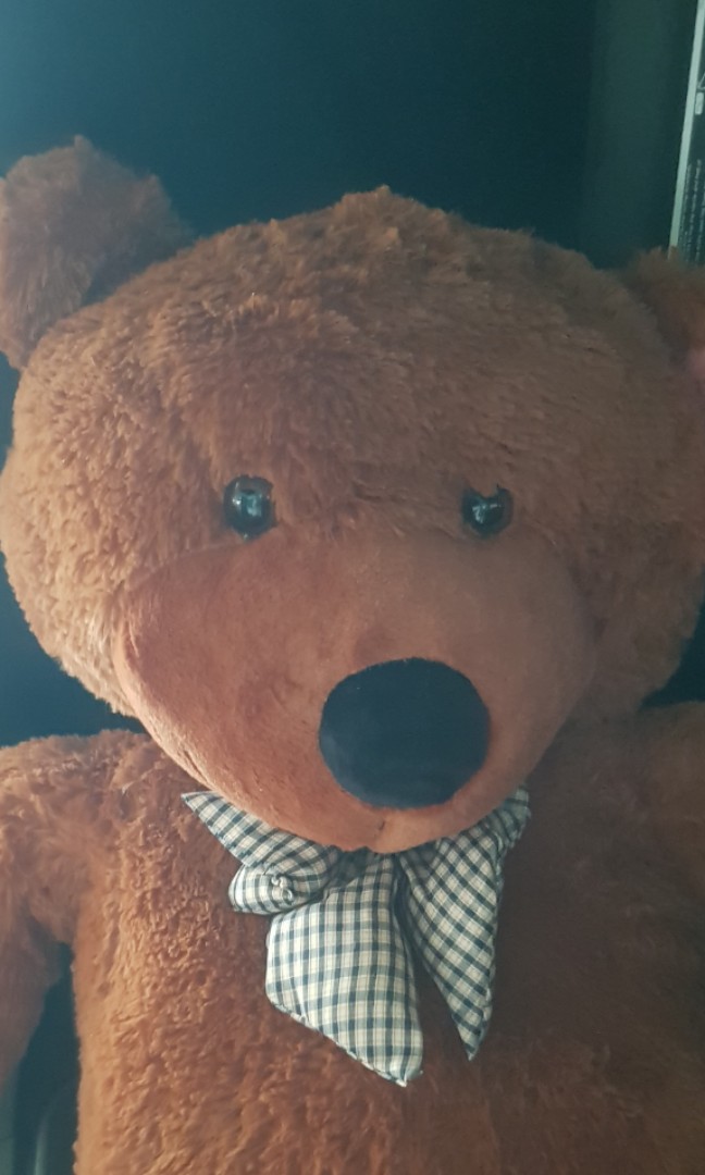 huge brown teddy bear