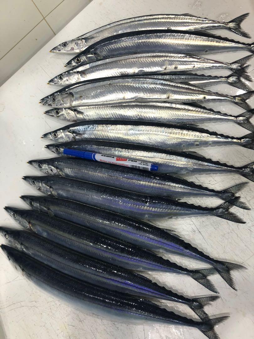 北海道秋刀魚 時令 嘢食 嘢飲 包裝食品 Carousell 北海道秋刀魚 時令 嘢食 嘢飲 包裝食品 Carousell