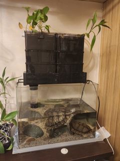 （分類：）位於 。 由 johnathankmlee 提交（商品編號 1044343489，圖片 1）。簡介： 。