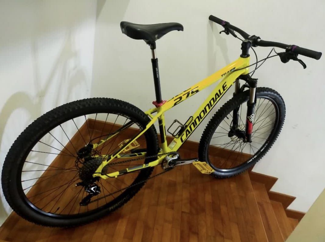 cannondale first air 24