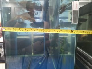 (Category: ) located in . Submitted by yuetting9876 (Listing ID 1044345442, Image 1). Description: .