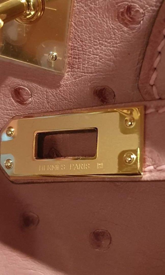 New] Hermès Terre Cuite Ostrich Birkin 25cm Gold Hardware – The